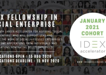 Call for Application IDEX Virtual Fellowship Program
