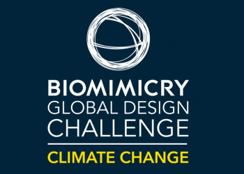 Global Biomimicry Design Challenge