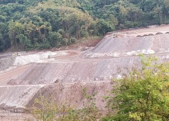 Techniques To Remotely Monitor The Growth Of Saplings In Mining Dumps