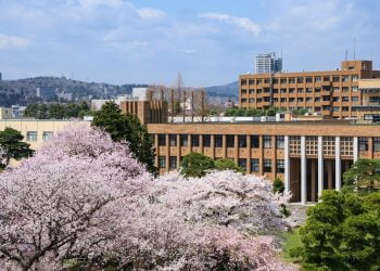 Tohoku University International Scholarships