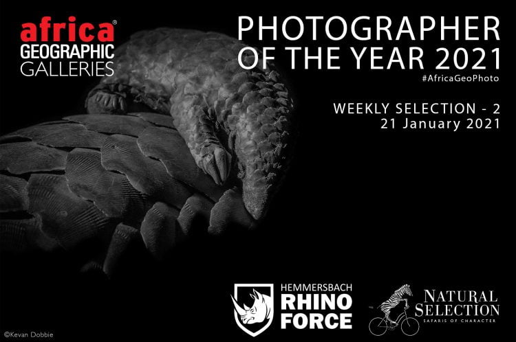 Africa Geographic Photographer of the Year 2021
