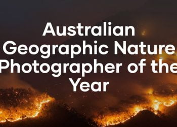 Australian Geographic Nature Photographer of the Year