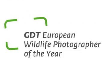 European Wildlife Photographer of the Year