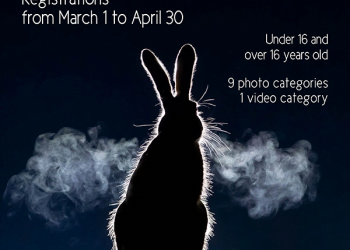 International Wildlife Photo Competition 2021