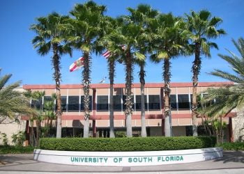 University South Florida International Scholarship