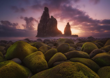 Epson International Pano Awards 2021