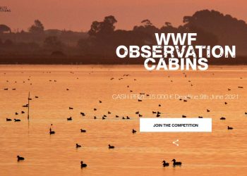 WWF Observation Cabins Competition