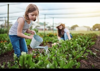 The Future Global Food System Challenge
