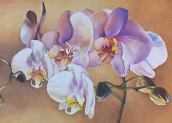 UK Coloured Pencil Society 20Th Anniversary Gala Exhibition