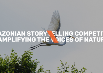 Amazonian Storytelling Competition