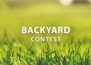 Instructables Backyard Contest