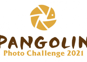 Pangolin Photo Challenge