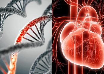 Increasing Awareness and Testing of a Genetic Risk Factor for Cardiovascular Disease Competition