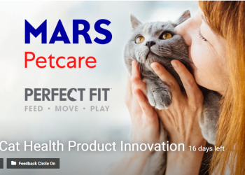 Perfect Fit Cat Health Product Innovation Competition