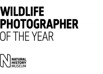Wildlife Photographer of the Year 2022
