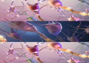 $75000 Sartorius Cell Instance Segmentation Detection Competition