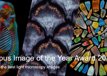 Olympus Image of the Year Award 2021