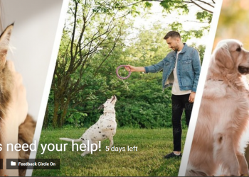 Pet Parents need your help Innovation Competition