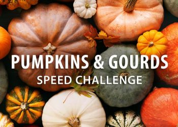 Pumpkins & Gourds Speed Challenge