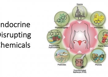 endocrine-disrupting chemicals
