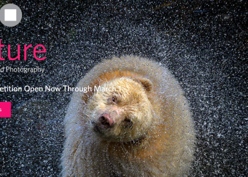 2022 BigPicture Natural World Photography Competition