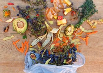Propose A New Product From Upcycled Food or Ingredients