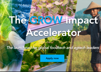 The GROW Impact Accelerator Program