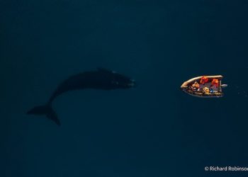 2022 Australian Geographic Nature Photographer of the Year