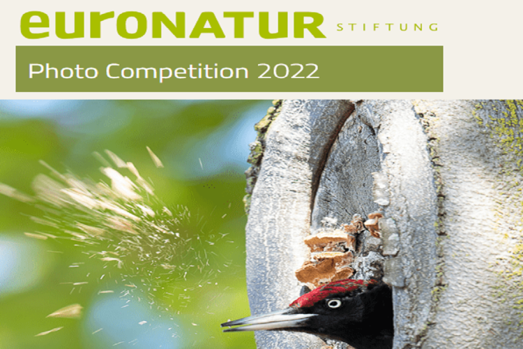 Euronatur Nature Photo Competition 2022