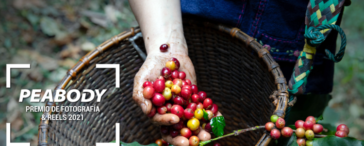 Peabody Award for Photography and Reel Contest