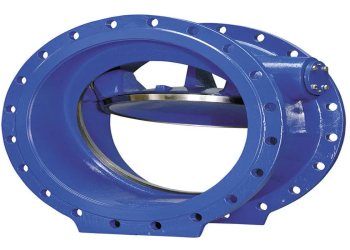 Non-Intrusive Monitoring of Non-Return Valves