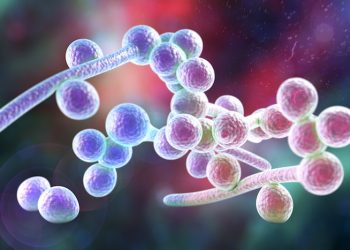 Platform for Assessing Fungicidal Activity Competition