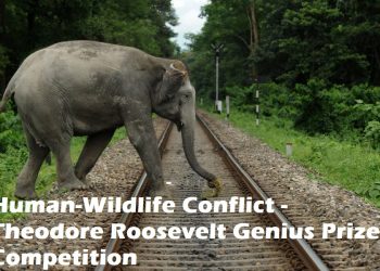 Nonlethal Management of Human-Wildlife Conflict - Theodore Roosevelt Genius Prize Competition