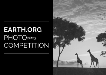 Earth.Org Global Wildlife