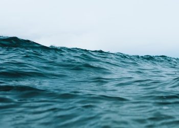 Ocean Changemakers Challenge -The next wave of innovators