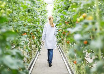 Seeding The Future Global Food System Challenge