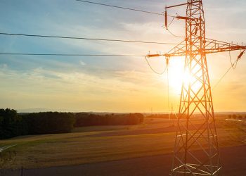 Safeguarding Biodiversity Prior to the Installation of Electric Distribution Assets