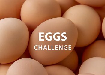 Instructables Eggs Challenge