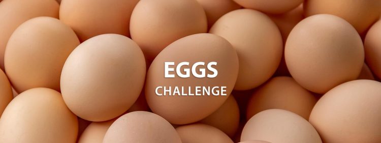 Instructables Eggs Challenge