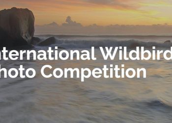 International Wildbird Photo Competition