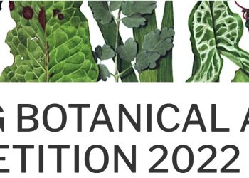 Young Botanical Artist Competition