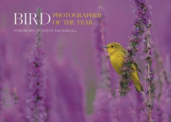 The Masters Review Chapbook Open