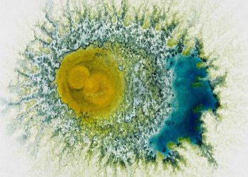 KOKUYO Design Award 2023