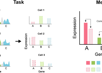 Open Problems - Multimodal Single-Cell Integration