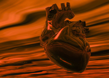 Pediatric Cardiac Genomics Consortium and Cardiovascular Development Challenge