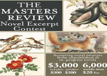 The Masters Review Novel Excerpt Contest