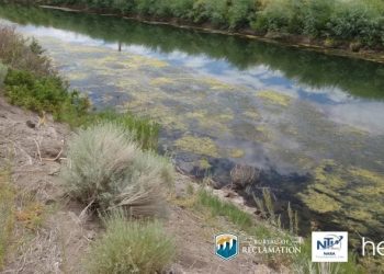 Veg Out - Managing Aquatic Vegetation in Canals Challenge