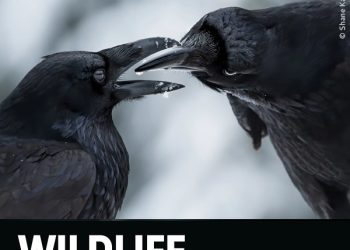 Wildlife Photographer of the Year 2023