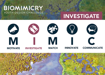 Youth Design Challenge 2023