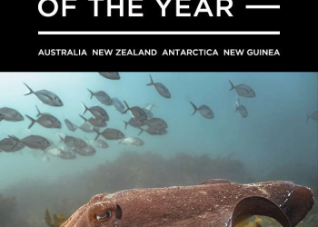 Australian Geographic Nature Photographer of the Year
